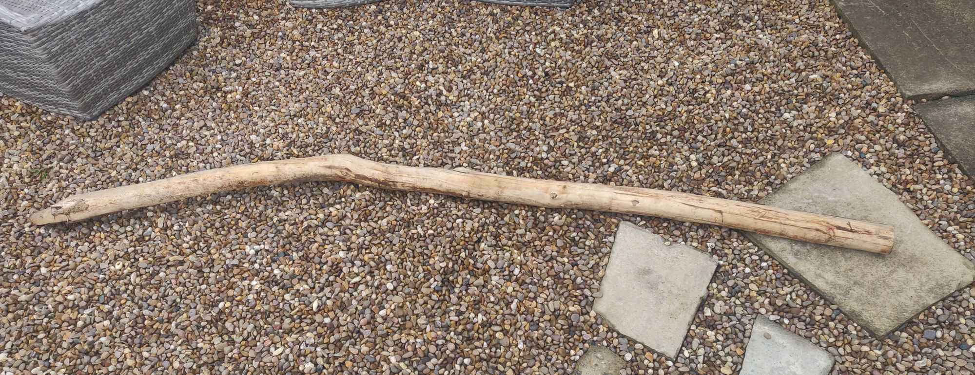 A spindly tree lying on a crazy-paving patio in a grey British back-garden.