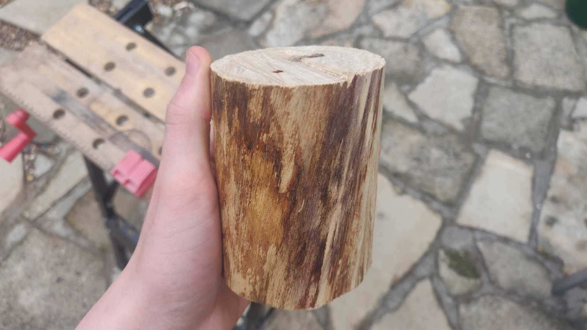 A hand holds a peice of cut tree. There is a ridge a the top where the tree has been cut hap-hazardly.